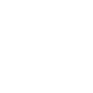 pos icon