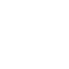 ecommerce-icon